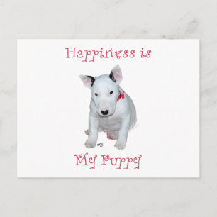Bull Terrier Puppy Postcard