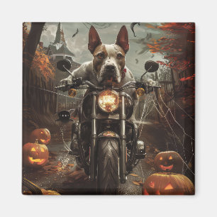 Bull Terrier Riding Motorcycle Halloween Scary Magnet