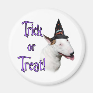 Bull Terrier Trick Magnet