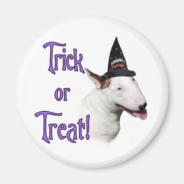 Bull Terrier Trick Magnet (Front)