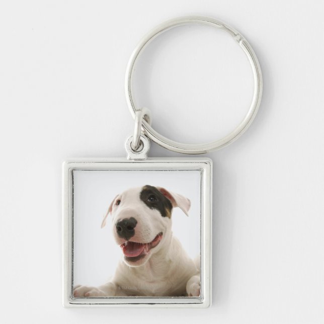Bull Terriers Key Ring (Front)