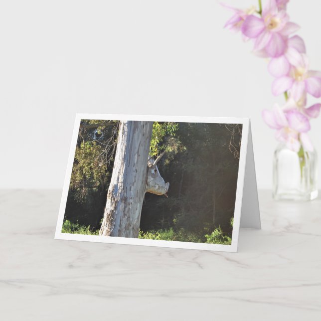 Bull Tree in Valencia, Spain, Spanish Card (Orchid)