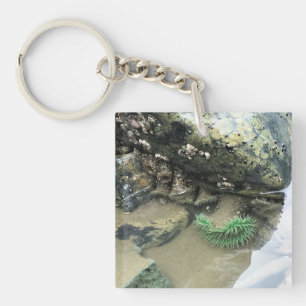Bullards Beach State Park, Bandon, Oregon Key Ring