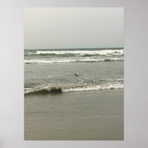 Bullards Beach State Park, Bandon, Oregon Poster