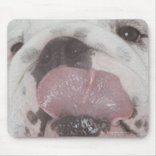 Bulldog 2 mouse pad
