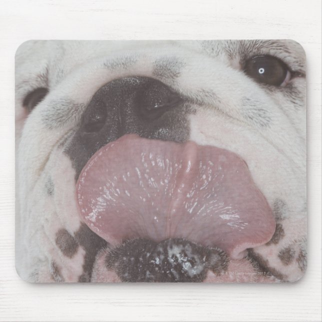 Bulldog 2 mouse pad (Front)