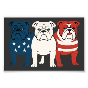 Bulldog 4th of July Dog Lover Men women USA Flag Photo Print