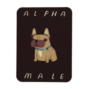 Bulldog Alpha Male Bulldog Lovers Gift Magnet