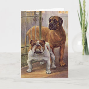 Bulldog and Mastiff Vintage Greeting Card