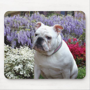 Bulldog and Wisteria mouse pad