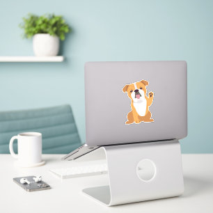 Bulldog Animal
