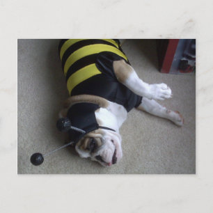 bulldog bee postcard