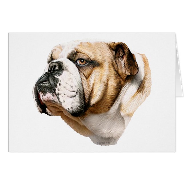 Bulldog Bust (Front Horizontal)