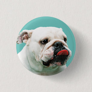 Bulldog Button