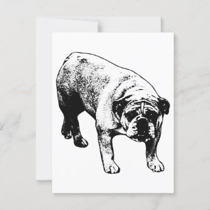 Bulldog By Post Postcard