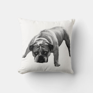 Bulldog Calm Corner Cushion