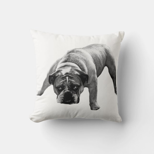 Bulldog Calm Corner Cushion (Front)