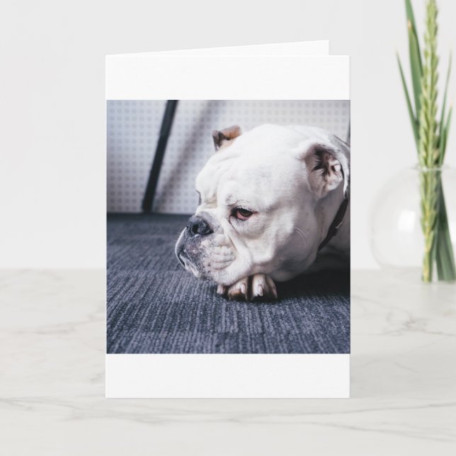 bulldog card (Front)