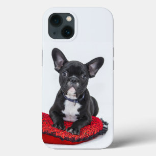 bulldog Case-Mate iPhone case