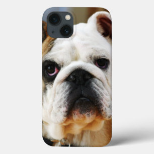 Bulldog iPhone 13 Case