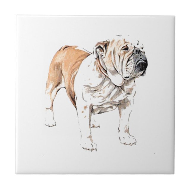 Bulldog Ceramic Tile (Front)