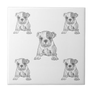  Bulldog Chequerboard Pencil  Ceramic Tile