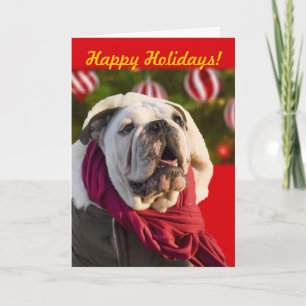 Bulldog Christmas cards