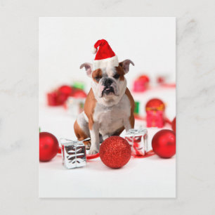 Bulldog Christmas Gift Box Ornaments Red Santa Hat Holiday Postcard