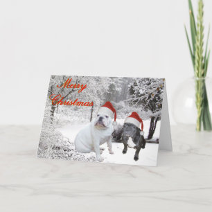 Bulldog Christmas Holiday Card