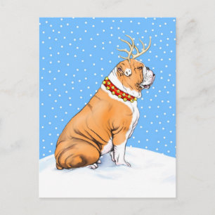 Bulldog Christmas Reindeer Red & White Holiday Postcard