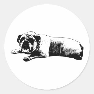Bulldog, Clear and Cheery Classic Round Sticker