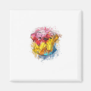 Bulldog Clothes For English Bulldog Momanddad Bull Magnet