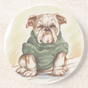 bulldog coaster