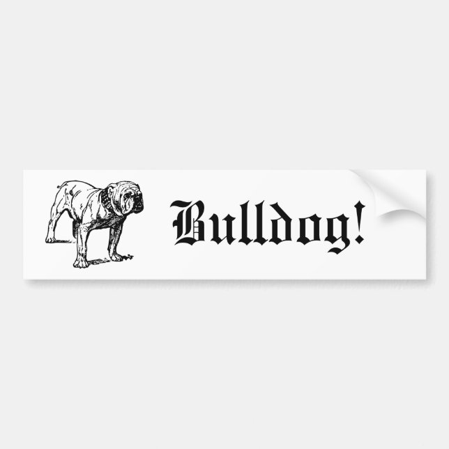 Bulldog Dog Business Bumper Sticker (Front)