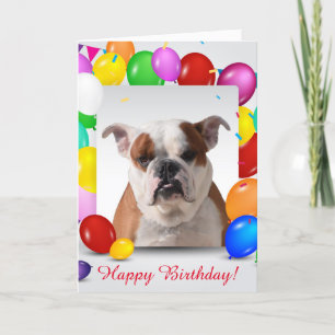 Bulldog Dog with colourful Balloons Birthday Theme Card
