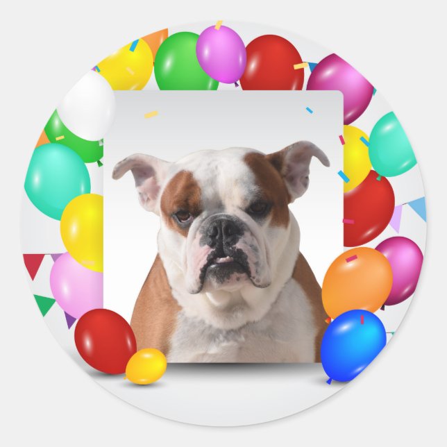 Bulldog Dog with colourful Balloons Birthday Theme Classic Round Sticker (Front)