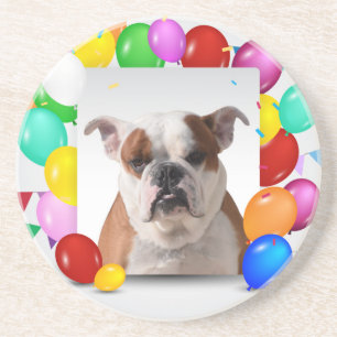 Bulldog Dog with colourful Balloons Birthday Theme Coaster