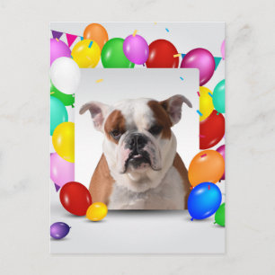 Bulldog Dog with colourful Balloons Birthday Theme Postcard