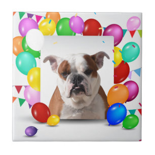 Bulldog Dog with colourful Balloons Birthday Theme Tile
