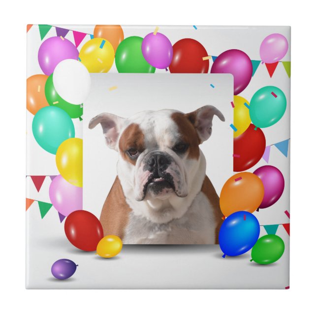 Bulldog Dog with colourful Balloons Birthday Theme Tile (Front)