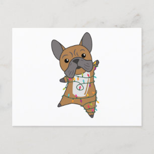 Bulldog Dogs Merry Christmas Winter Animals Postcard