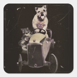 Bulldog Drives a Car 1933 Square Sticker
