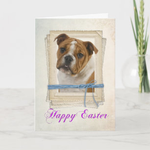 Bulldog Easter Card