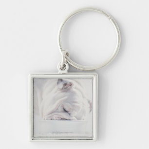 Bulldog Eating Key Ring