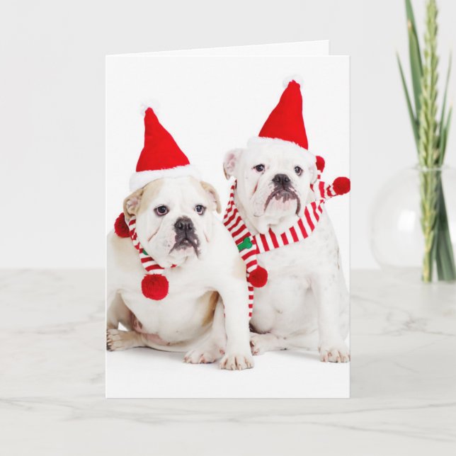 Bulldog Elves Holiday Card (Front)