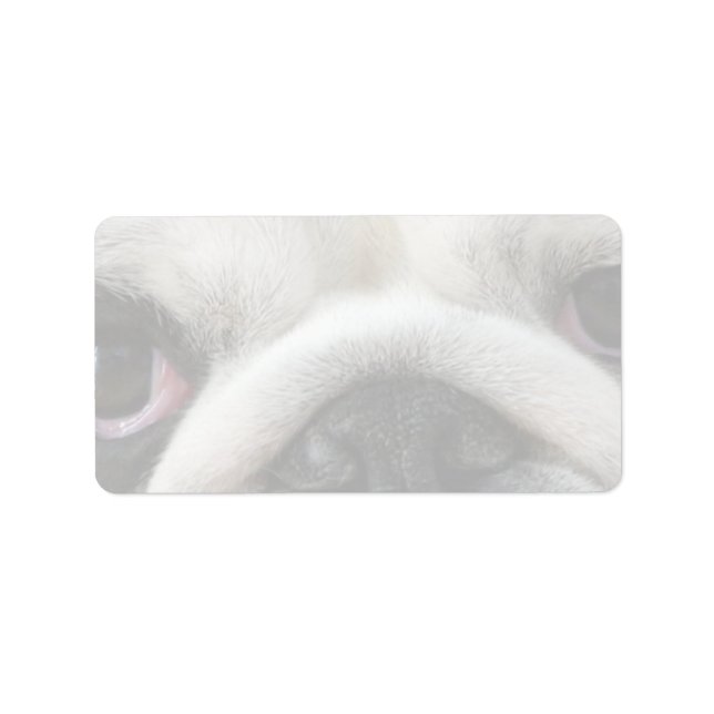 Bulldog Eyes Label (Front)