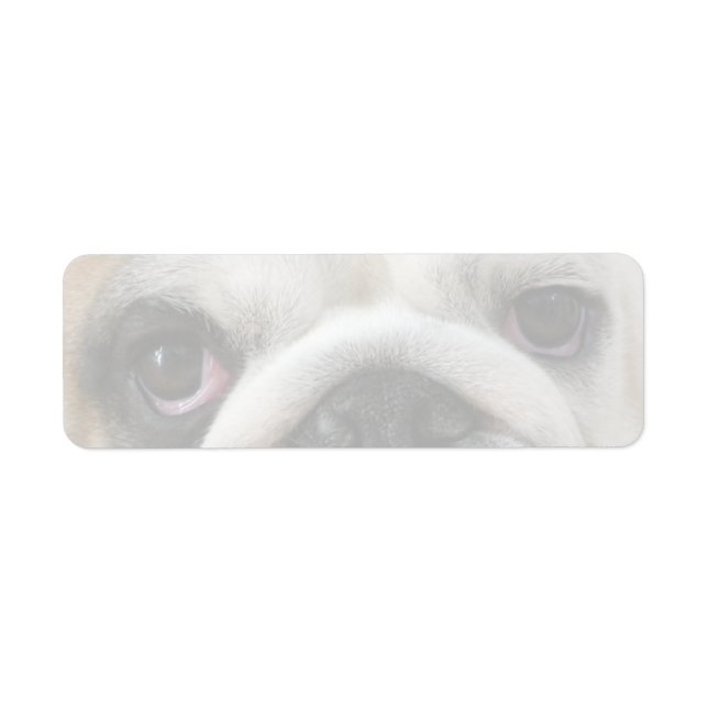 Bulldog Eyes Return Address Label (Front)