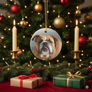 Bulldog Face - English Bulldog, Brown Ceramic Ornament