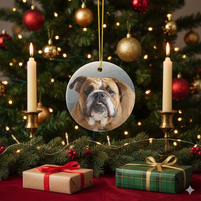 Bulldog Face - English Bulldog, Brown Ceramic Ornament (Creator Uploaded)