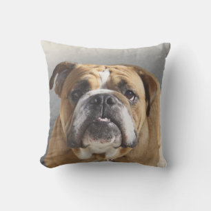 Bulldog Face - English Bulldog, Brown Cushion